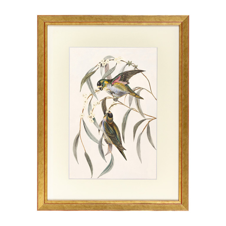 Fotolijst Tropez Goud 50x70 cm - Art Print en Passe Partout