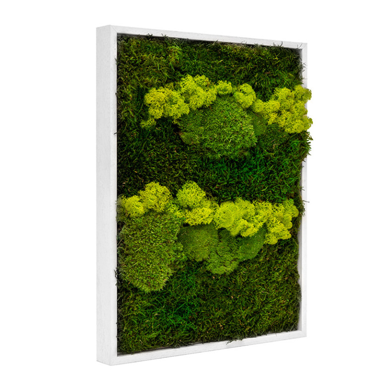 Mos Schilderij Lappenmos-Rendiermos-Bolmos Gebroken Wit Skive Lentegroen - Zijaanzicht