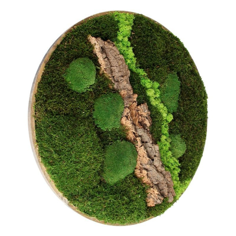 Vintlux Mosschilderij Rond 100 cm Ongelakt Eiken - Selfjord