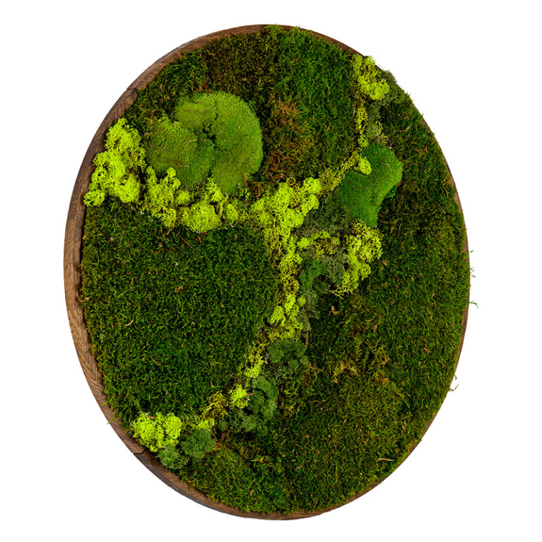 Mos Schilderij Rond 60 cm Donker Eiken Svendborg Lentegroen - Zijaanzicht
