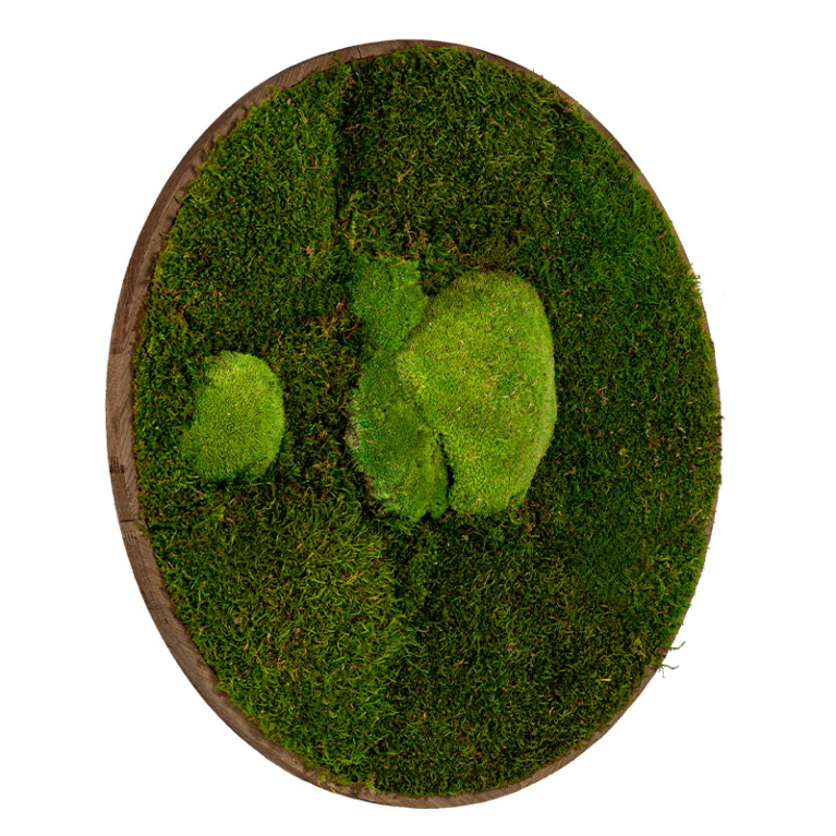 Mosschilderij Rond 20 cm Donker Acaciahout - Esbjerg