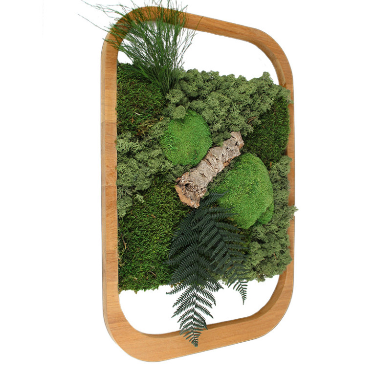 Vintlux Mosschilderij 50x75 cm Eiken Naturel - Sandvik - Schuin