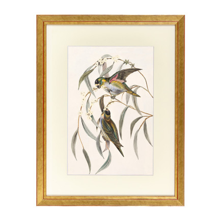 Fotolijst Tropez Goud A1 (59,4x84,1 cm) - Art Print en Passe Partout